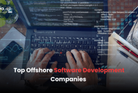 Offshore software development companies