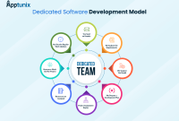 Software dedicated team